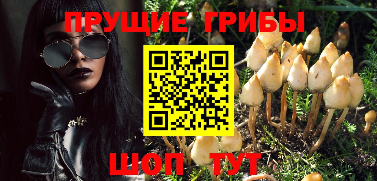 Краснокамск  Галлюциногенные грибы Magic Shrooms  Вход с VPN 