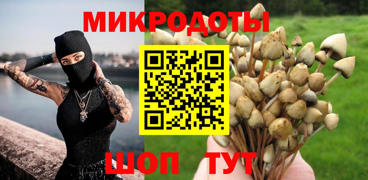 Псилоцибиновые грибы Psilocybe Краснокамск
